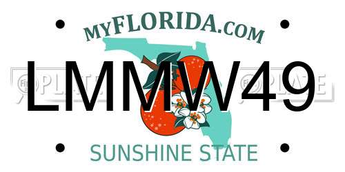 LMMW49 Florida License Plate