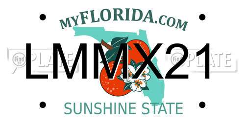 LMMX21 Florida License Plate