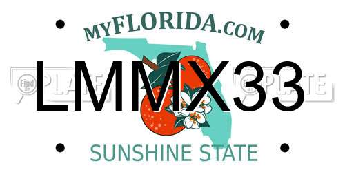 LMMX33 Florida License Plate