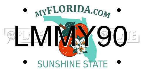 LMMY90 Florida License Plate