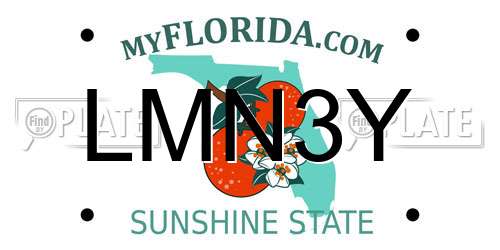LMN3Y Florida License Plate