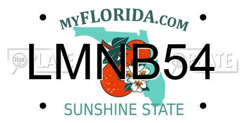 LMNB54 Florida License Plate