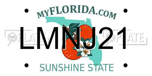 LMNJ21 Florida License Plate