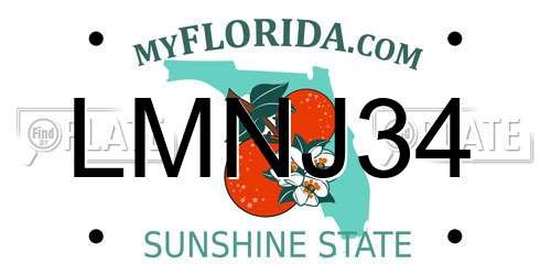 LMNJ34 Florida License Plate