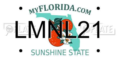 LMNL21 Florida License Plate