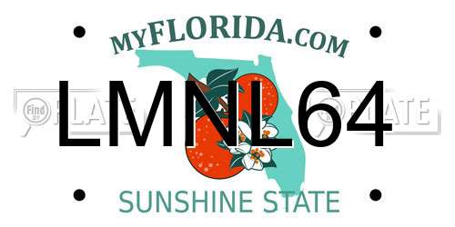 LMNL64 Florida License Plate