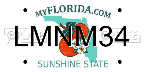 LMNM34 Florida License Plate