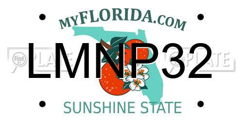 LMNP32 Florida License Plate