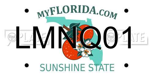 LMNQ01 Florida License Plate