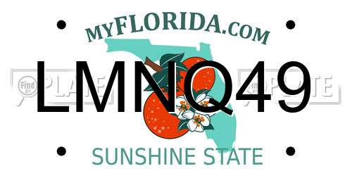 LMNQ49 Florida License Plate