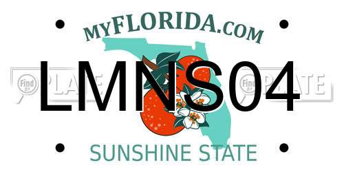 LMNS04 Florida License Plate