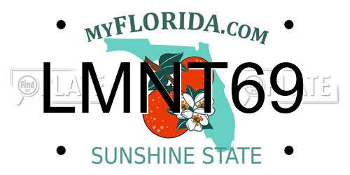 LMNT69 Florida License Plate