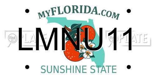 LMNU11 Florida License Plate