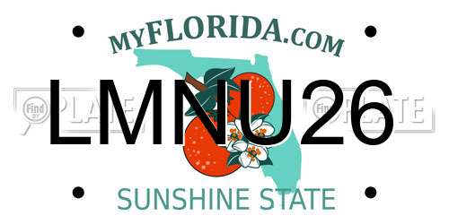 LMNU26 Florida License Plate