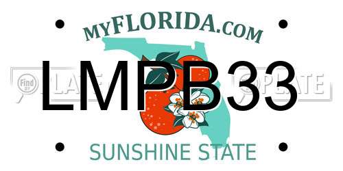 LMPB33 Florida License Plate