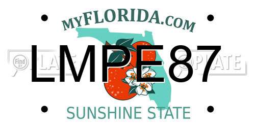 LMPE87 Florida License Plate