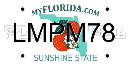 LMPM78 Florida License Plate