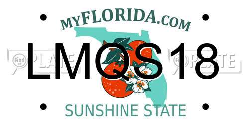 LMQS18 Florida License Plate