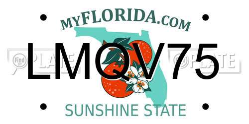 LMQV75 Florida License Plate