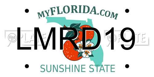 LMRD19 Florida License Plate