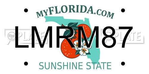 LMRM87 Florida License Plate
