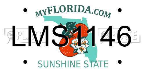 LMS1146 Florida License Plate