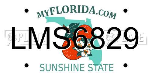 LMS6829 Florida License Plate