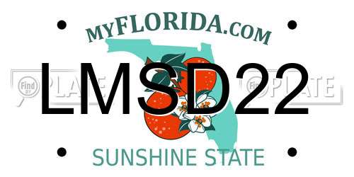 LMSD22 Florida License Plate