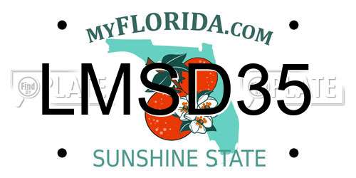 LMSD35 Florida License Plate