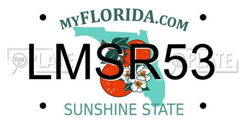 LMSR53 Florida License Plate
