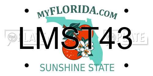 LMST43 Florida License Plate