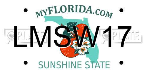 LMSW17 Florida License Plate
