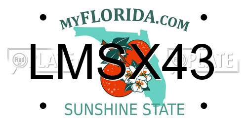 LMSX43 Florida License Plate