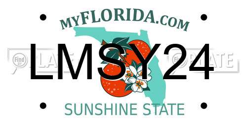 LMSY24 Florida License Plate