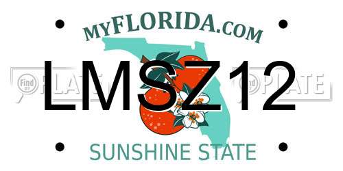 LMSZ12 Florida License Plate