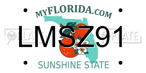 LMSZ91 Florida License Plate