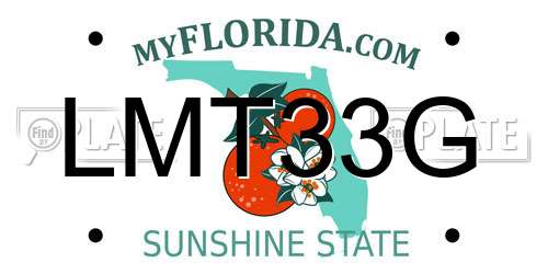 LMT33G Florida License Plate
