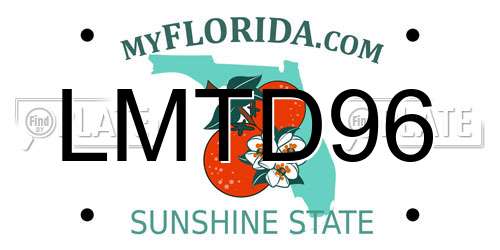 LMTD96 Florida License Plate