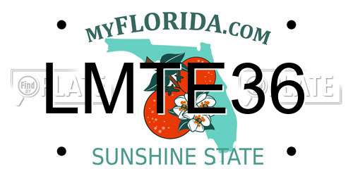 LMTE36 Florida License Plate