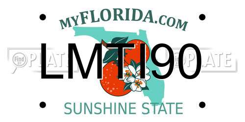 LMTI90 Florida License Plate