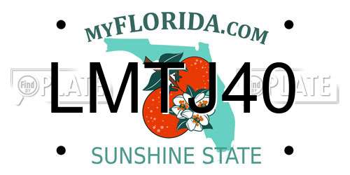 LMTJ40 Florida License Plate