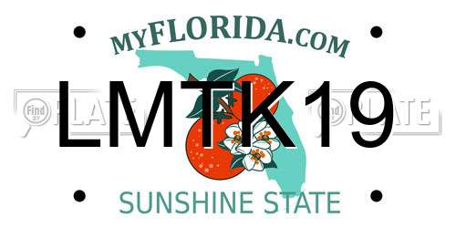 LMTK19 Florida License Plate