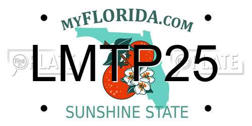 LMTP25 Florida License Plate