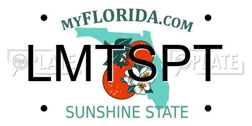 LMTSPT Florida License Plate
