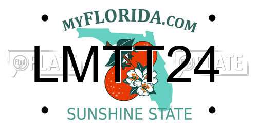 LMTT24 Florida License Plate