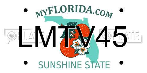 LMTV45 Florida License Plate