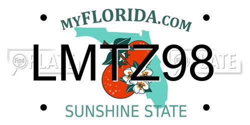 LMTZ98 Florida License Plate