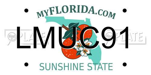 LMUC91 Florida License Plate