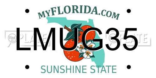 LMUG35 Florida License Plate