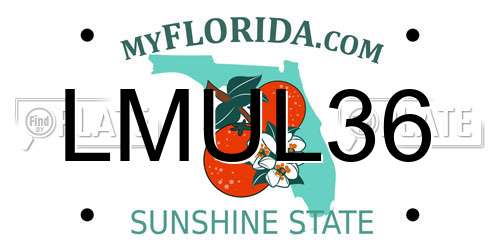 LMUL36 Florida License Plate